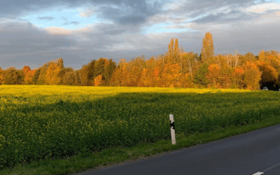 Top 10 Reiseziele im Herbst – Reiseziele im Oktober/November