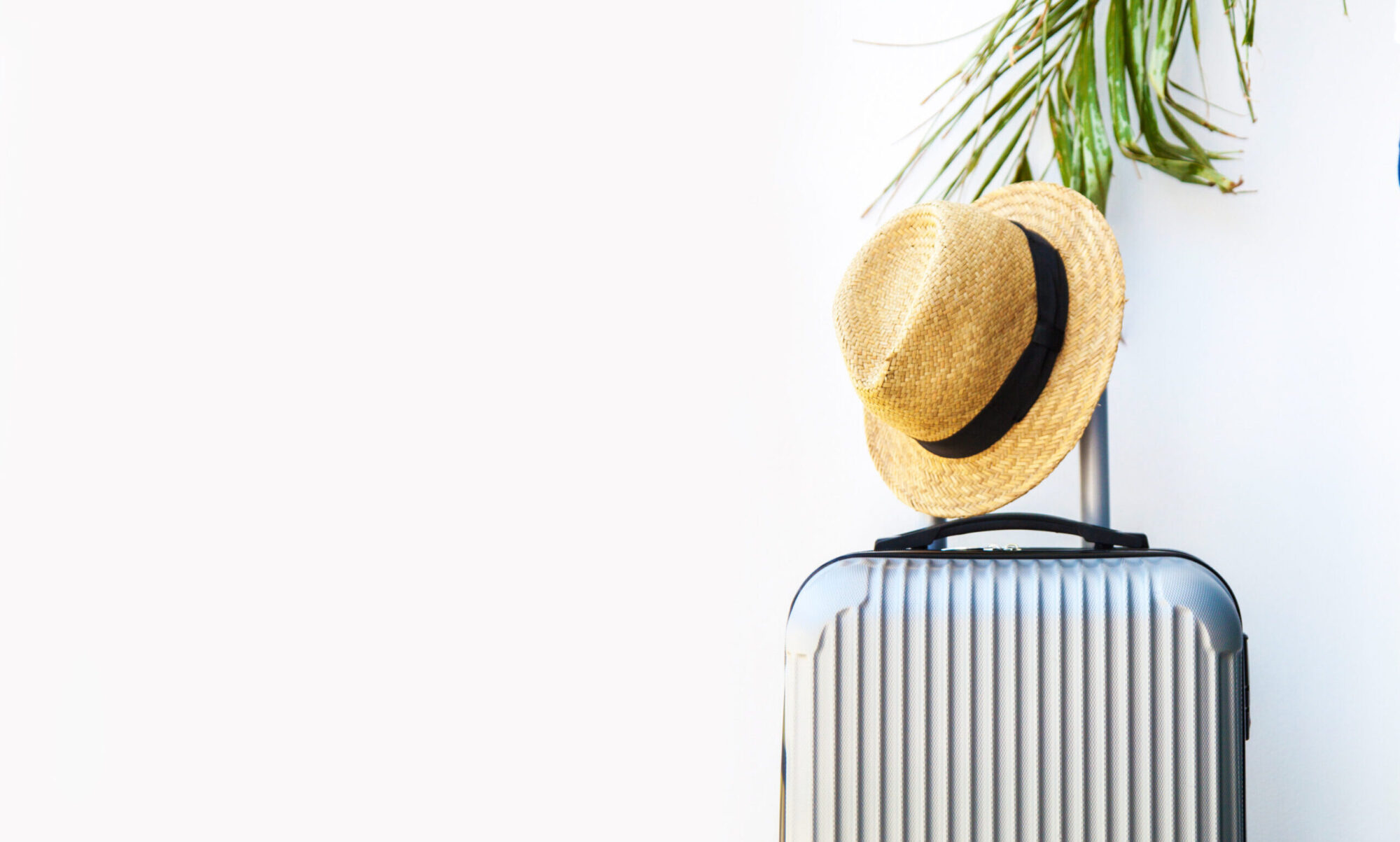Suitcase And Hat On A White Background Under An Palm Tree.