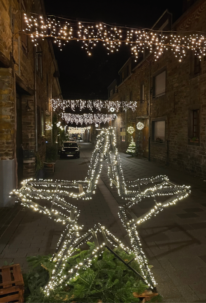 Beleuchtung bei Winningen im Lichterglanz
